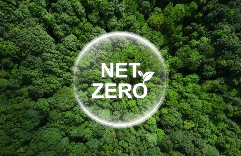Allsop signs up to the BPF Net Zero Pledge