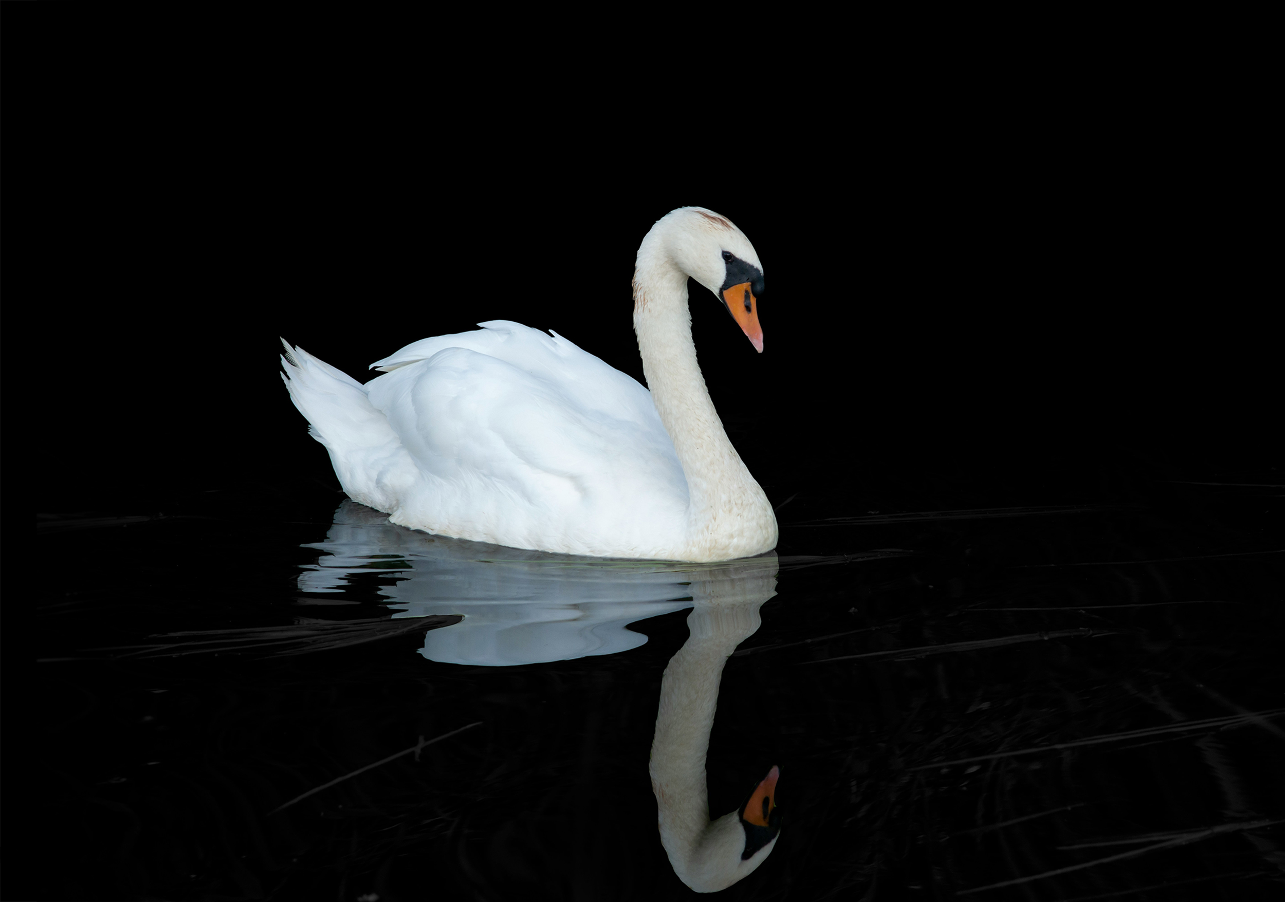 The Ugly Duckling:  A Tale of Commercial Property Investment